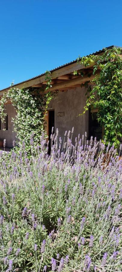 Tikaykilla Lodge & Wines Maipu  Exterior photo